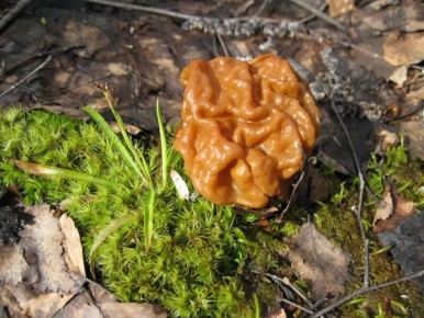 �����! ������������� ������� ������ ����� ��������