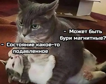 ��������������, ��������� � � 29 ������ � ������ ��������� ������ ������������ �����