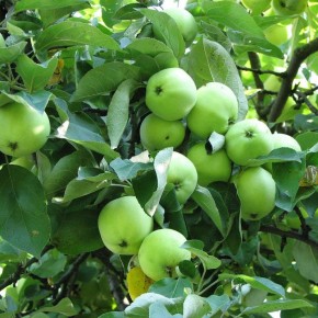 ������� ������: ��� ���������� ������� ���������� � ������� ������ ������ ���