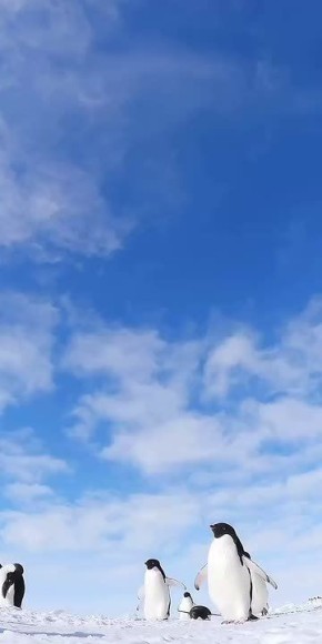 "� �� ��� �� ��� �������, �? �������-�� �� ������� ��� ���������!"