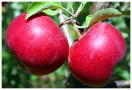 ��� ��������� ����� ��� ������ ���������� ����