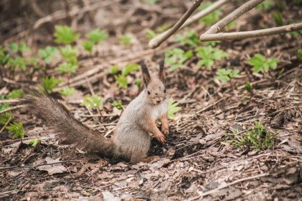 � ����� � ����� ����������� ����� ��������� ��������, ����� ��� �������� ����� � ����� �� ����� � �����