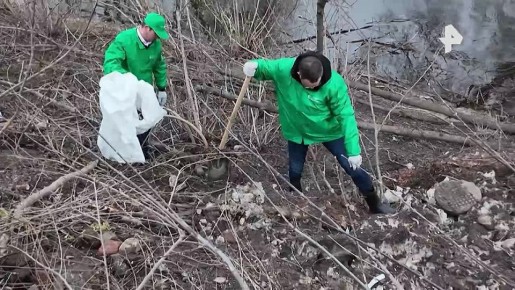 � ������ ��������� ���������� ����� "����������� ������������ ������" � ������, ������� �������� ���������� ������� ��������� � ������� � �����������