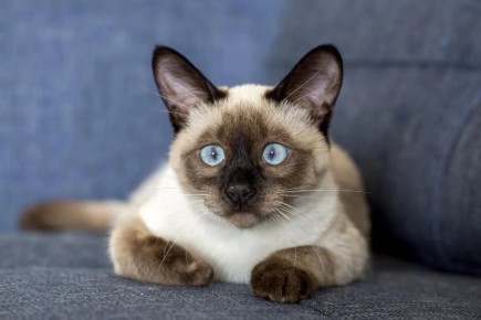 12 ����������� ����� �����, ������� ������� ���� ������