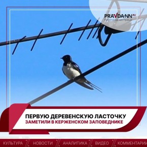 ������� � ���������� ����������� �������� ������ ����������� ��������