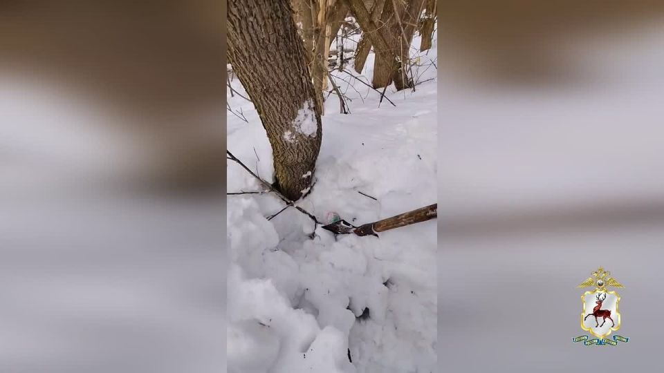 В Нижнем Новгороде в суд направлено уголовное дело по факту незаконного распространения наркотиков в особо крупном размере