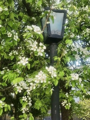 ��� �� ������ � �������� ����� �������� �������� �������! �� ���� - ���������� ��������� �������� �����