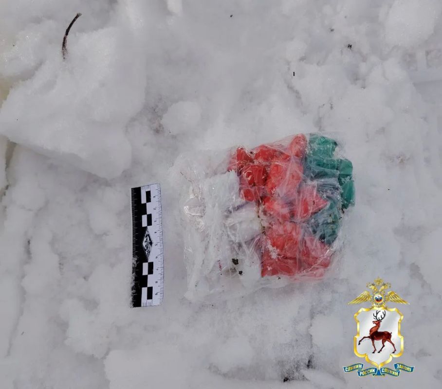 В Нижнем Новгороде в суд направлено уголовное дело по факту незаконного распространения наркотиков в особо крупном размере В Нижнем Новгороде в суд направлено уголовное дело по факту незаконного распространения наркотиков в особо крупном размере