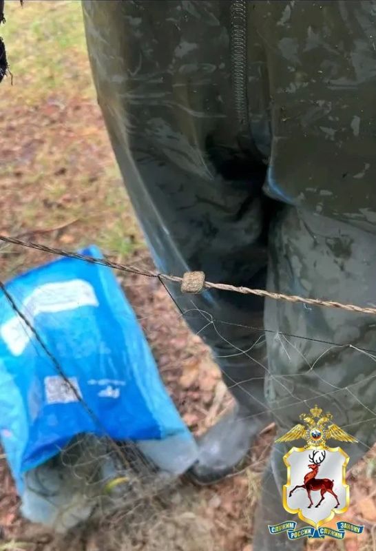 Браконьера поймали полицейские в Выксе Браконьера поймали полицейские в Выксе