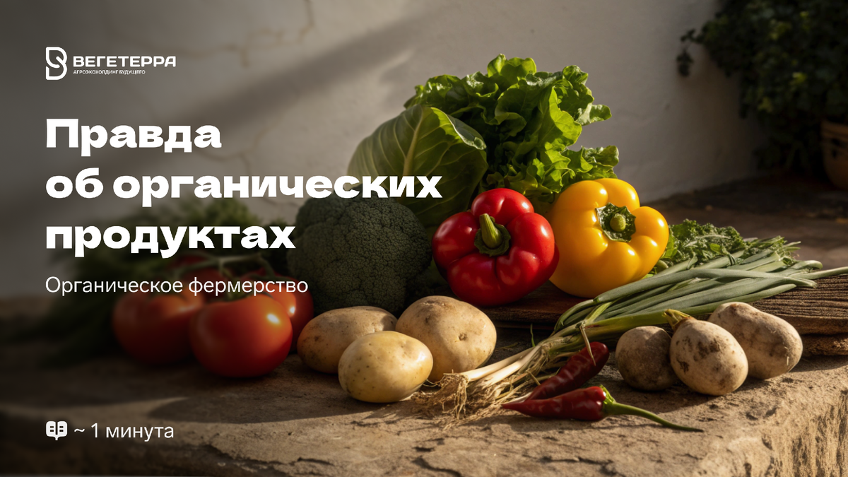 Органика на столах: действительно ли она полезнее, чем обыденные продукты?