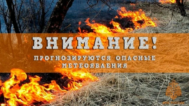 Ожидается высокая (4 класс) пожароопасность лесов и торфяников местами по Нижегородской области в период с 13 по 18 мая 2026 г