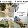 30-градусная жара придёт в Нижний Новгород на этой неделе