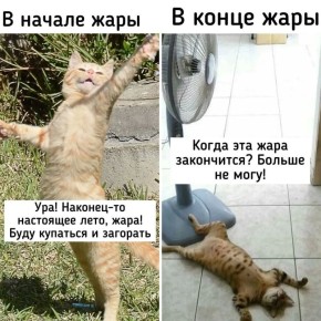 30-градусная жара придёт в Нижний Новгород на этой неделе