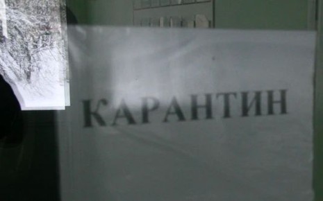Карантин по бешенству ввели в пяти населенных пунктах Нижегородской области