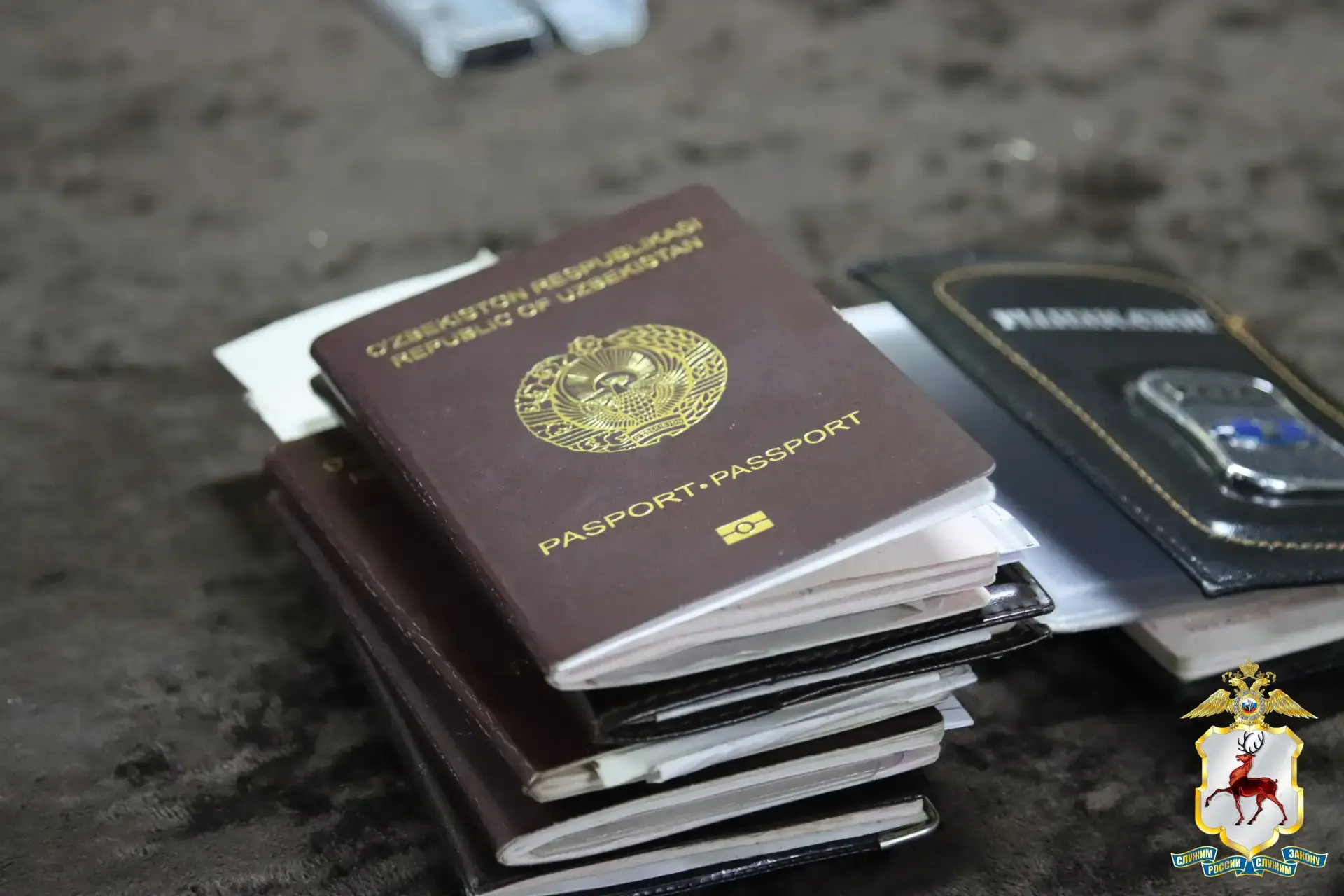 Еще 59 нелегальных мигрантов выдворят из России после рейда нижегородской полиции