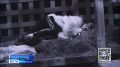 Увидеть не значит приблизиться
