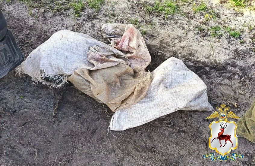 В Ветлужском округе полицейские выявили факт незаконного вылова рыбы в период нереста В Ветлужском округе полицейские выявили факт незаконного вылова рыбы в период нереста