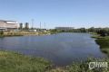 Нижегородцы больше не смогут купаться в Мещерском озере