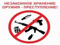 Вынесен приговор в отношении жителя Дзержинска, незаконно хранившего у себя оружие