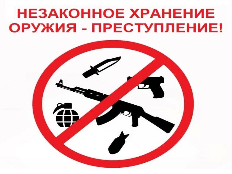 Вынесен приговор в отношении жителя Дзержинска, незаконно хранившего у себя оружие