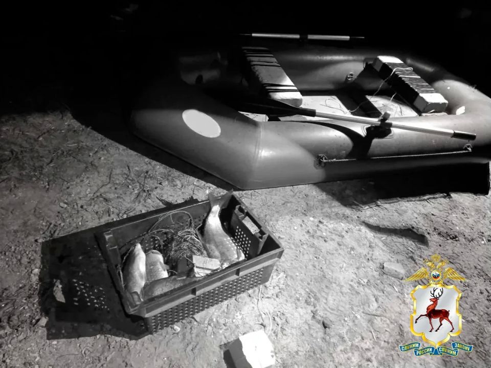 Рыбака с незаконно добытыми щуками задержали в Володарском округе