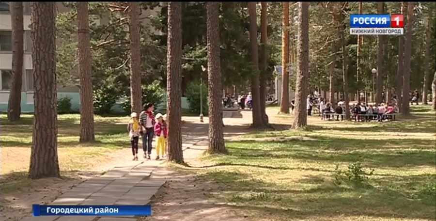Летние лагеря для школьников откроются 1 июня в Нижегородской области