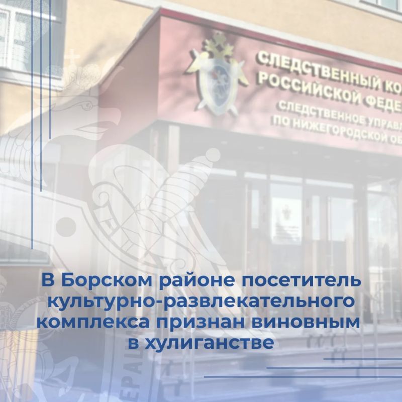 Собранные следователем следственного отдела по городу Бор следственного управления Следственного комитета России по Нижегородской области доказательства признаны судом достаточными для вынесения приговора в отношении жителя...