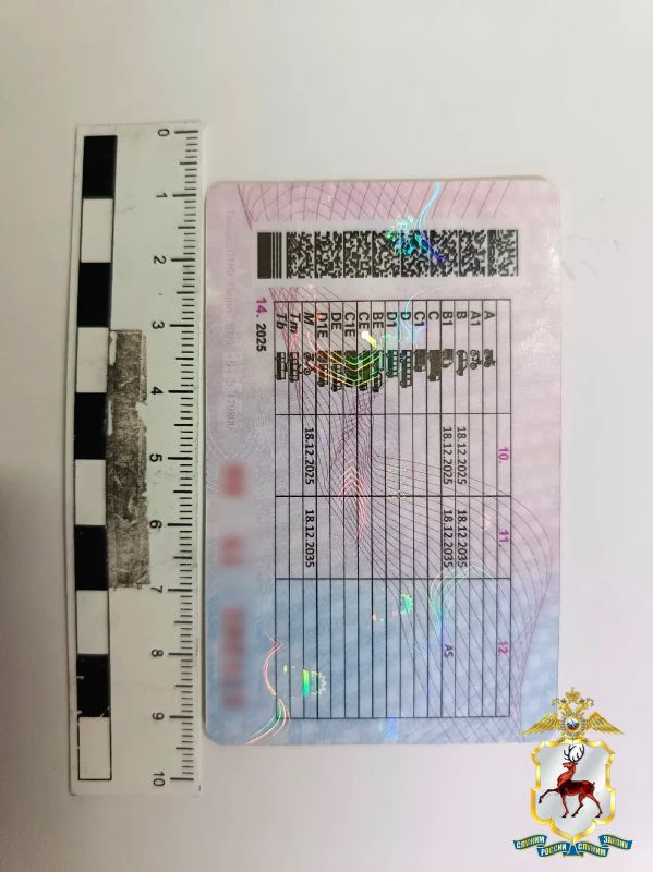 В Богородском округе возбуждено уголовное дело за использование поддельного водительского удостоверения В Богородском округе возбуждено уголовное дело за использование поддельного водительского удостоверения