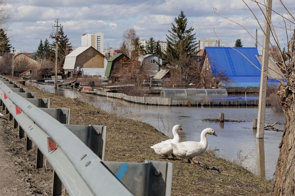 Паводок в Нижегородской области официально завершился