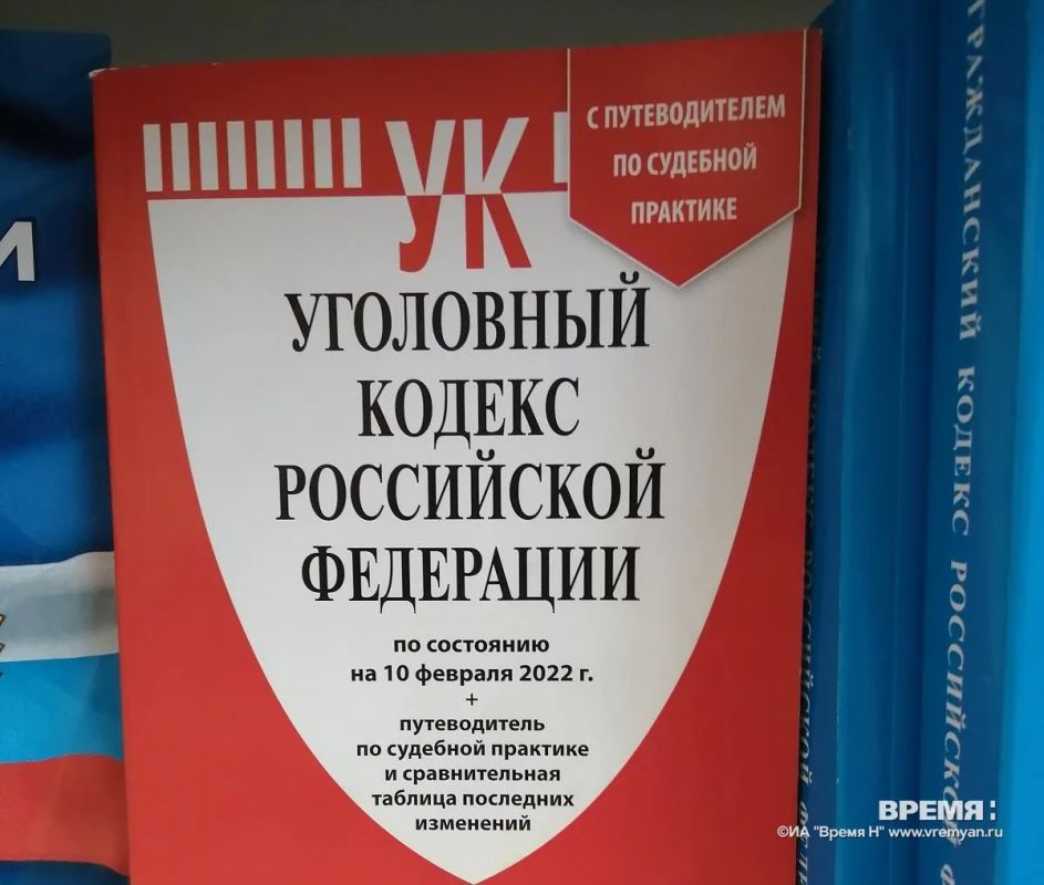 Нижегородку задержали за публичное распространение фейков об СВО