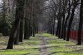 На концепцию благоустройства Лыскова выделили деньги