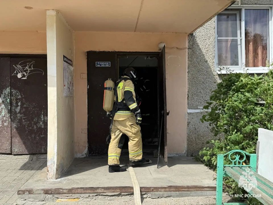 В Выксе прошли масштабные учения по гражданской обороне В Выксе прошли масштабные учения по гражданской обороне