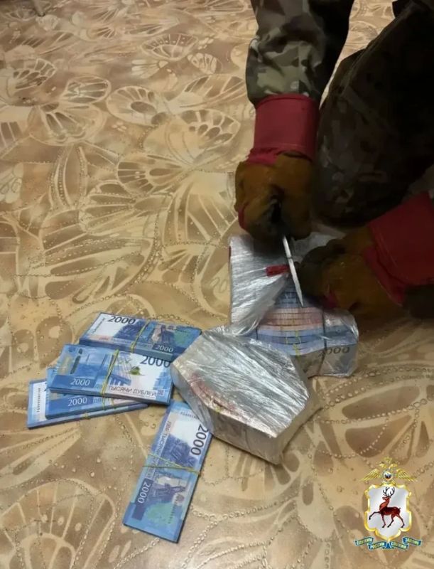 38 пачек фальшивых купюр вернули мошенники бабушке с внучкой после "декларирования" 38 пачек фальшивых купюр вернули мошенники бабушке с внучкой после "декларирования"