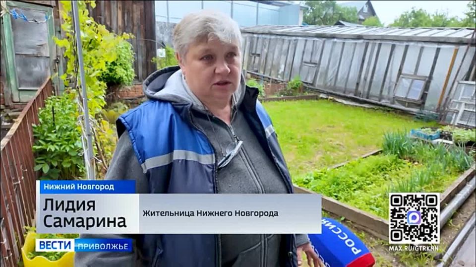 Комариное нашествие добралось и до Нижегородского региона