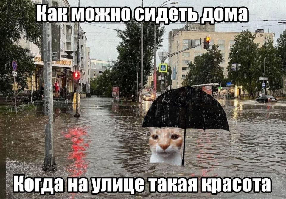 В выходные в Нижнем Новгороде снова будет дождь