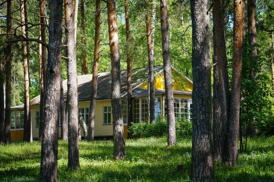 Летняя оздоровительная кампания стартует в Нижнем Новгороде 1 июня Летняя оздоровительная кампания стартует в Нижнем Новгороде 1 июня