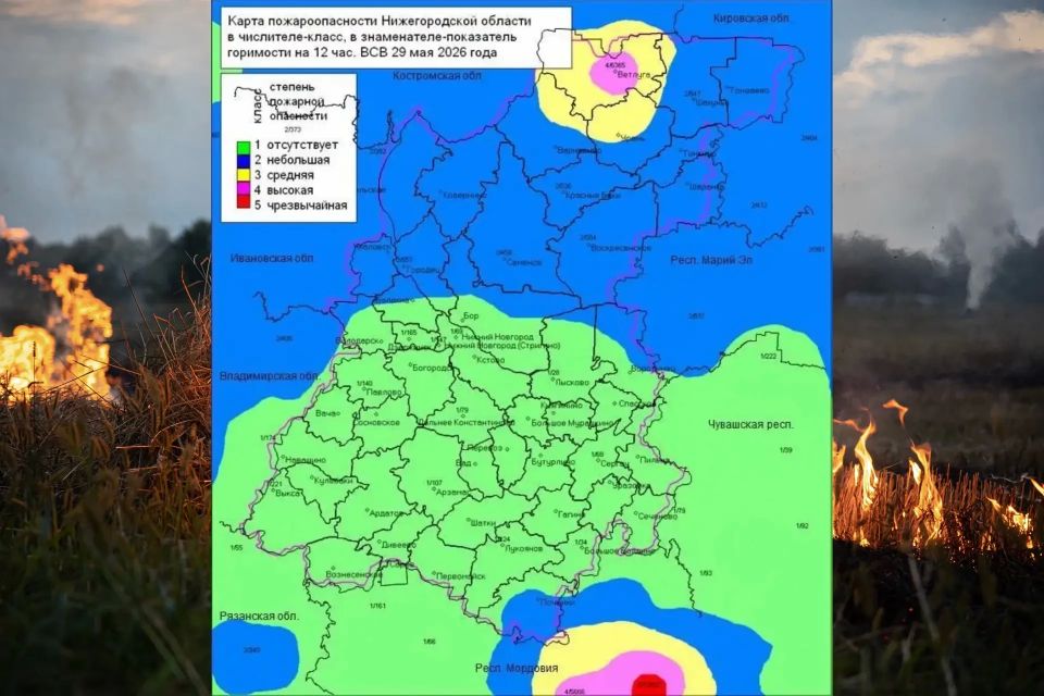 Минлесхоз Нижегородской области сообщил, в каких районах региона установились 1-2, местами 3, 4 классы пожароопасности (КПО)