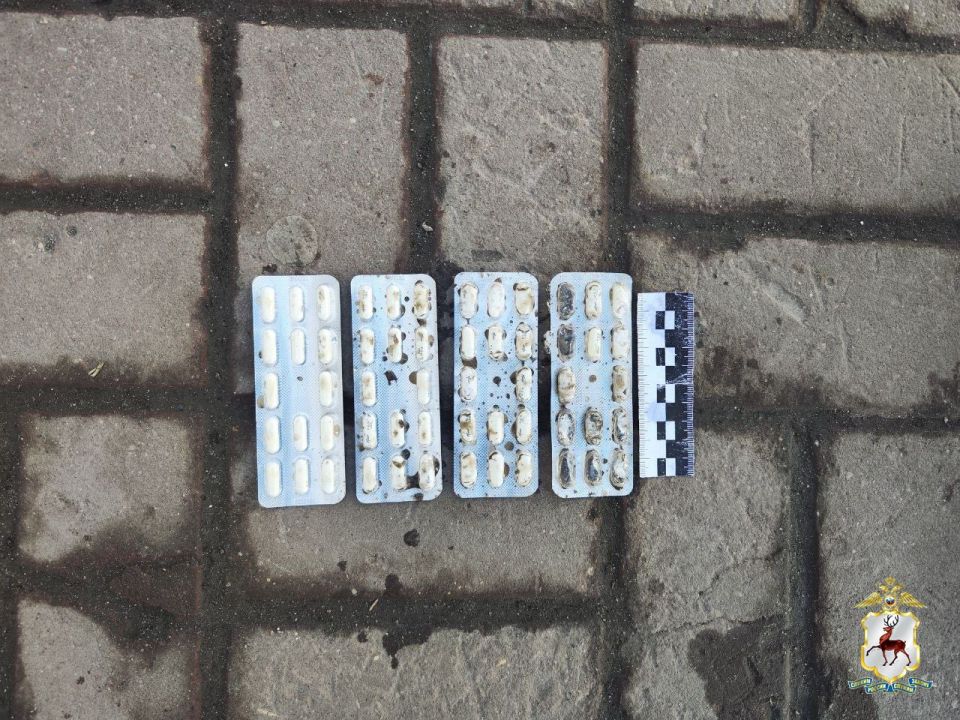 В нижегородском отделении Интерпола подвели итоги регионального этапа операции «Пангея» В нижегородском отделении Интерпола подвели итоги регионального этапа операции «Пангея»
