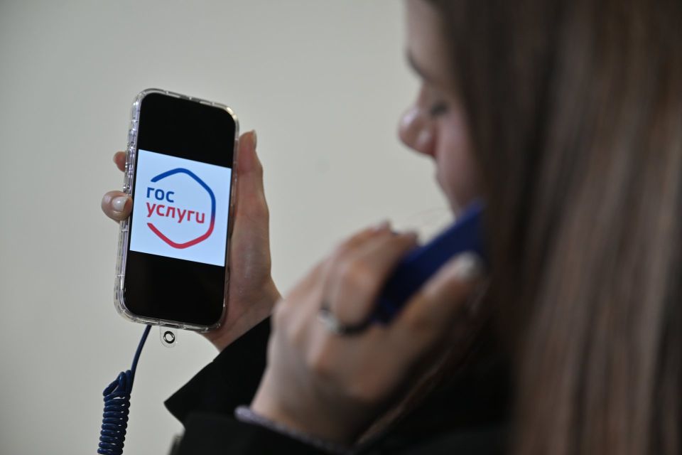 Мошенники взломали госуслуги нижегородца и оформили на него заем в МФО