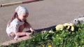 Поздравление министра образования Нижегородской области Михаила Пучкова с Международным днём защиты детей