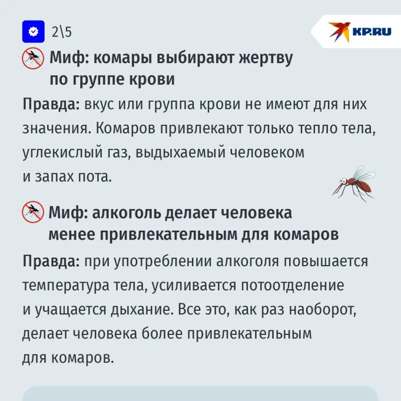 А вас кусают комары? Развенчиваем популярные мифы о кровопийцах А вас кусают комары? Развенчиваем популярные мифы о кровопийцах
