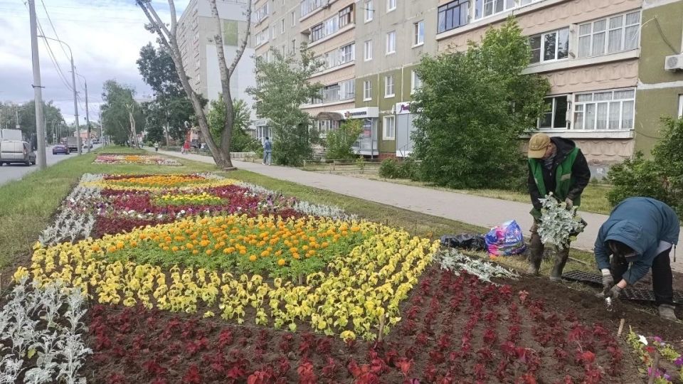 Сормовский район расцветает: в начале лета цветы появятся на территории площадью более 3 тысяч кв.м Сормовский район расцветает: в начале лета цветы появятся на территории площадью более 3 тысяч кв.м