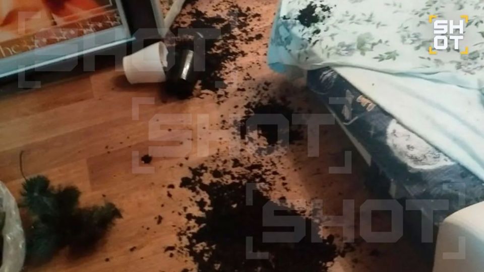 На самого активного полтергейста России пожаловались в мэрию Арзамаса На самого активного полтергейста России пожаловались в мэрию Арзамаса
