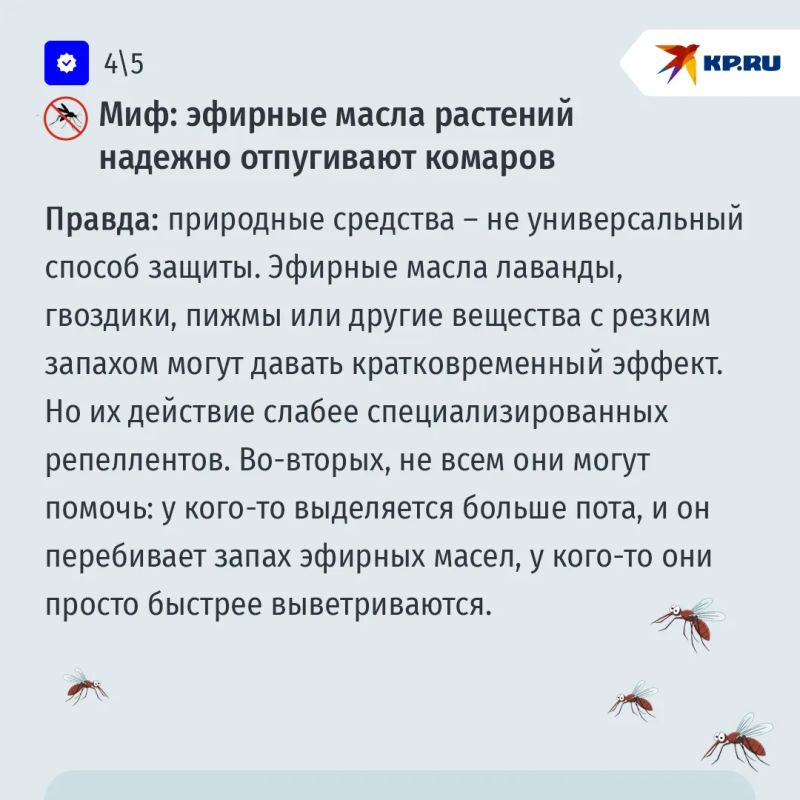 А вас кусают комары? Развенчиваем популярные мифы о кровопийцах А вас кусают комары? Развенчиваем популярные мифы о кровопийцах