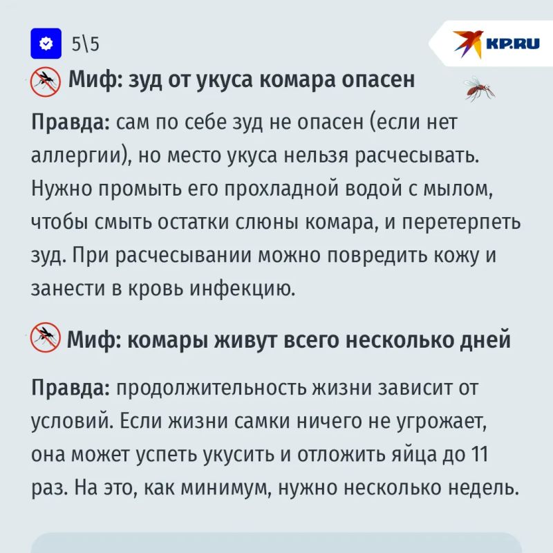 А вас кусают комары? Развенчиваем популярные мифы о кровопийцах А вас кусают комары? Развенчиваем популярные мифы о кровопийцах
