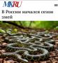 �� ������ ������� ����� ����: