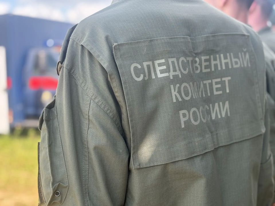В Нижнем Новгороде подросток обвиняется в незаконном сбыте наркотических средств