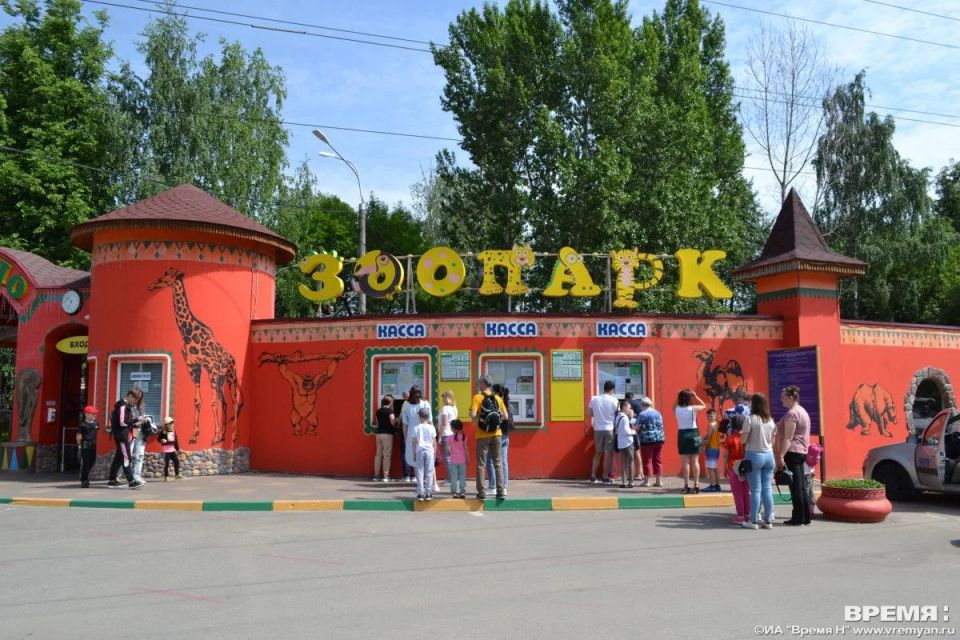 Летний бэбибум в нижегородском зоопарке «Лимпопо»: появились журавлята, телята и оленёнок