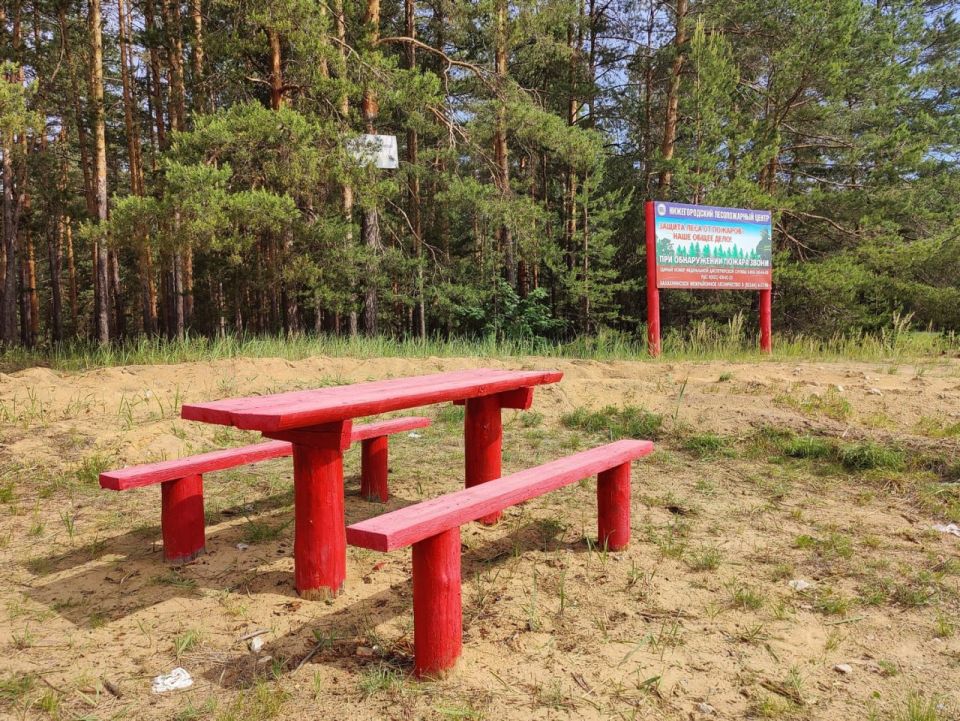 Более 3 тыс. мест отдыха в лесах Нижегородской области подготовили к пожароопасному сезону