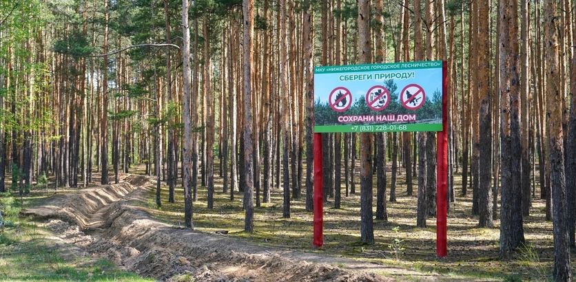 Четвертый класс пожароопасности лесов и торфяников ожидается на территории Нижнего Новгорода